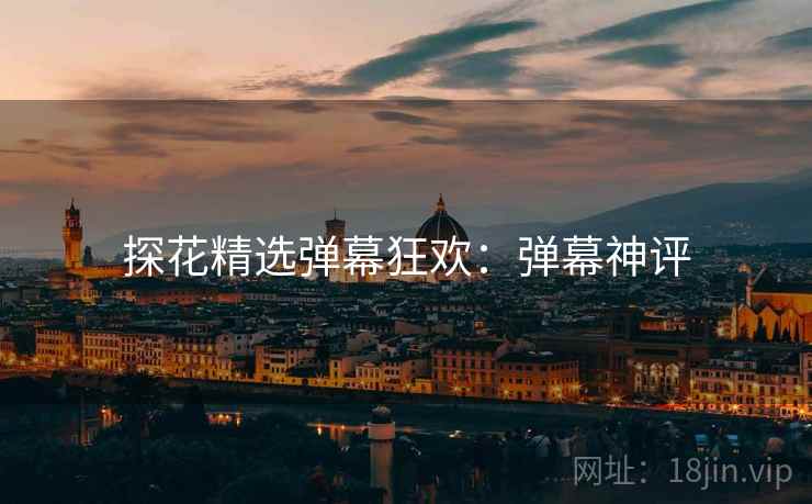 探花精选弹幕狂欢：弹幕神评