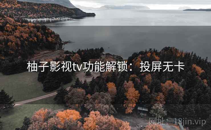 柚子影视tv功能解锁：投屏无卡